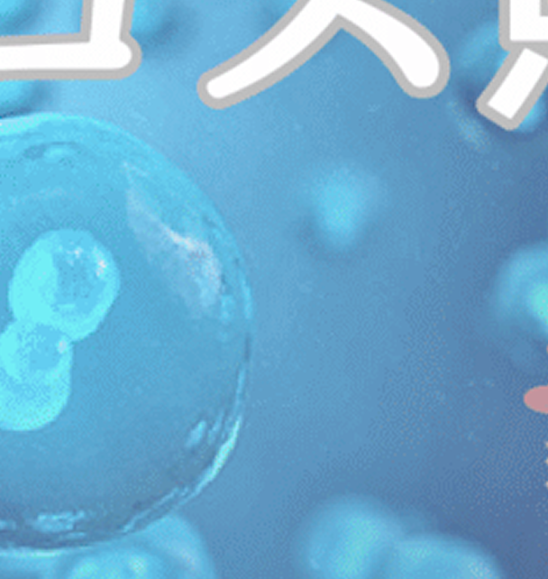 アインプロスVIP